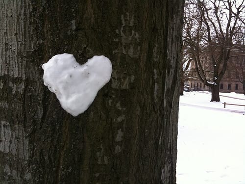 4358735787 8091bcb5e4