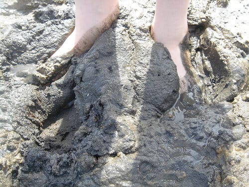 Dancing in the Mud 1 112177440 2a15520d3c