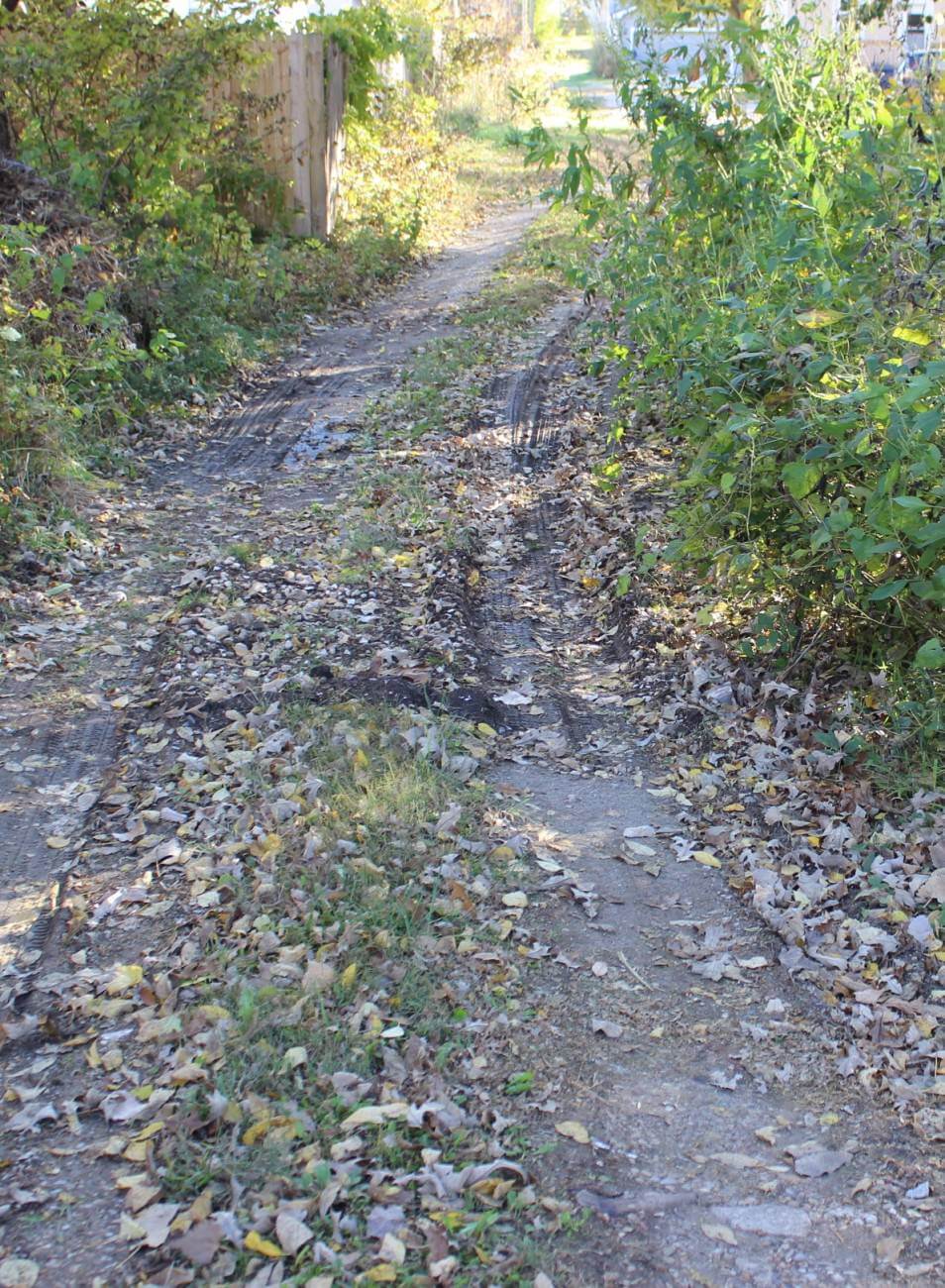 Cropped Nature Cards 005